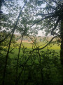 La ferme de Mesnival