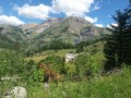 La ferme des bois