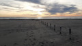 La file de poteaux qui ramène de la plage au point 6