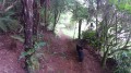 La fin du sentier