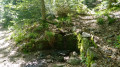 La fontaine du chevreuil La fontaine du chevreuil