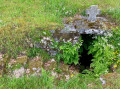 La Fontaine Saint-Médard ... La Fontaine Saint-Médard ...