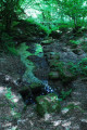 La Fontaine