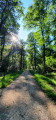 La Forêt domaniale de Loches