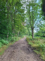 La Forêt