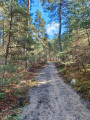 Bois-Rond, un circuit pour le matin