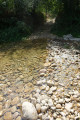 La Galaure