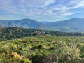 La garrigue et les tas de rochers