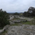 La garrigue près de Saint-Chaptes