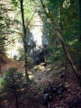 La Glacière