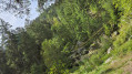 Sentier du Sagard dans le défilé de Straiture
