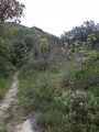 La Grand Combe