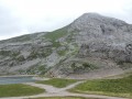 La grande Moucherolle