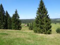 Le sentier des bornes aux Fourgs