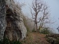 La grotte au dessus de Culles les Roches