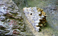 La grotte de la Baume
