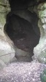 La grotte du bois de Paris . La grotte du bois de Paris .
