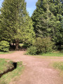 La Grotte