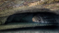 La grotte