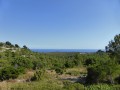 La guarrigue du Col de la Gardiole