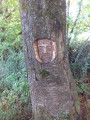La gueule de bois