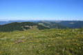 La Haute chaume du Grand Ballon