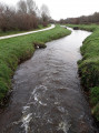 La jalle du Breuil