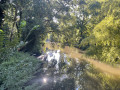 La Juine (Pont de Gillevoisin)