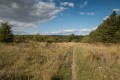 La lande et le coteau de la Seine en fond La lande et le coteau de la Seine en fond