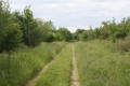 La ligne de Savrelle