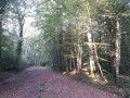 La Ligne du Cordon du Der