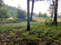 Circuit de Diane et d'Actéon en Forêt Domaniale de Senonches