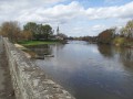 La Loire à Chalonnes