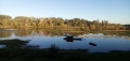 Le long de la Loire entre Mer et Beaugency, rive gauche, rive droite