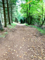 La longue montée ... La longue montée ...
