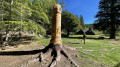 La maison de la reserve et la sculpture des Mal-aimés La maison de la reserve et la sculpture des Mal-aimés