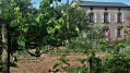 la maison et son potager