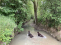 La Vallée de la Marcaissonne au départ d'Auzielle