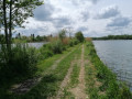 La marche sur l'eau à l'Étang de Réchicourt-le-Château