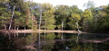La Mare aux Canes