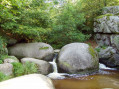 La Mare aux sangliers