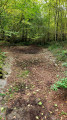 La mare - For&ecirc;t de Lourdes