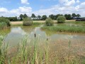 Les vallons des Petites Choisilles Les vallons des Petites Choisilles