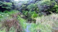 La Mare par la Forêt des Hauts de Mont Vert