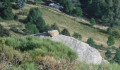 La marmotte
