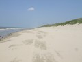 La mer à gauche, les dunes à droite !!