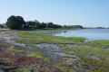 La mer remonte