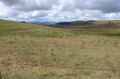 La Montagne de Courbières et les Monts du Cantal La Montagne de Courbières et les Monts du Cantal