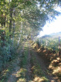 Chemins de la Montagne de Crestou