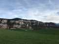 Le Banchet en boucle : jonquilles et Château de Montbel